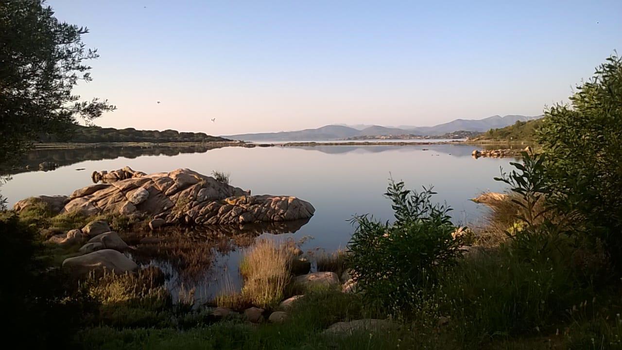 Residence Porto Coda Cavallo San Teodoro  Exteriör bild